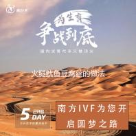 火腿鱿鱼豆腐丝的做法